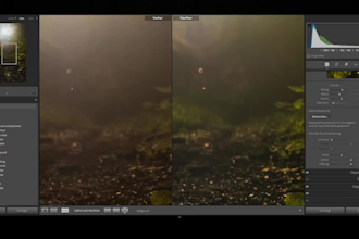 edit your pictures for all possible platforms