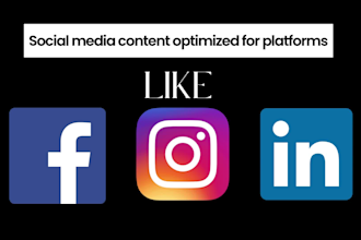 create motion graphics post designs and social media content