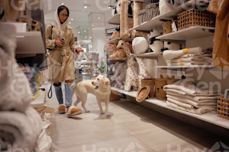 create high converting pet ugc video ads for pet brands