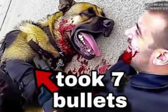 edit your bodycam videos like code blue cam or dr insanity