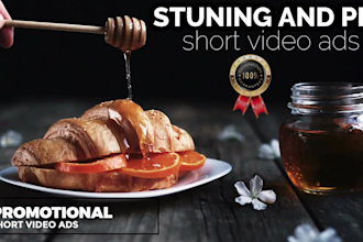 create top quality promotional video or short video ads