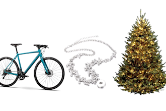 do charismas tree jewelry bicycle complex background removal