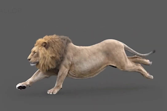 integrate realistic 3d animal animation, 3d animal model,3d dragon, cgi fur