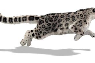 realistic 3d creatures model, 3d animal animation, character rigging