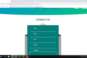 design interactive and responsive websites