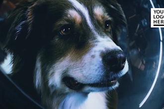 make funny astronomer dog video with your logo and web