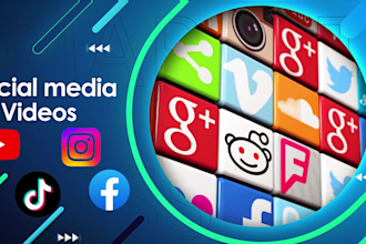 produce professional ad videos for 10 dollars