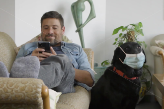make this funny video ad with a dog wearing a surgical mask