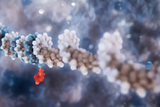 do 3d medical animation cellular pathway animation scientific medical animation