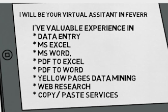 be your virtual assistant for data entry and file conversion