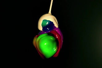 do 3d animations e vfx