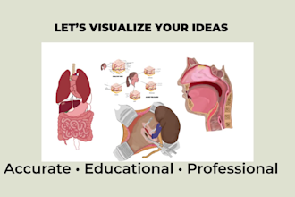 create medical and scientific illustration