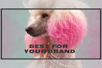 do pet product photo with optional pet models