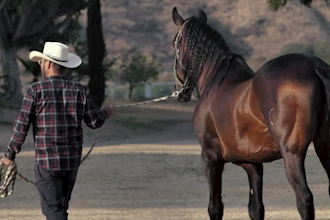 record deep american cowboy voice