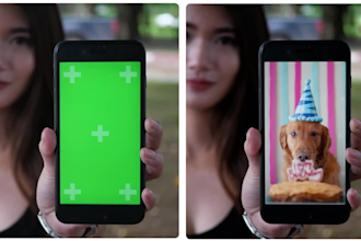 visual effects editing like green screen object removal and more