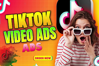 create tik tok dropshipping ads,tiktok video ads and short video ads