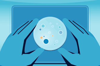 make custom animated character gifs and nft
