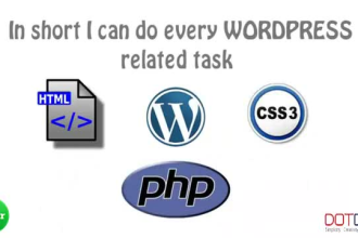 install and customize wordpress, plugins as per demo