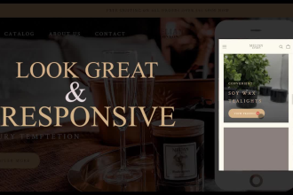 do shopify website development or build ecommerce website shopify, web designing