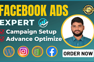 run wordpress facebook ads campaign shopify fb advertising and instagram ads