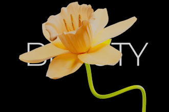 create  premium 3d animation video, 3d product rendering animation high quality