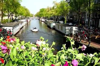 do top 10 cash cow, luxury, technology, finance videos to earn youtube revenues