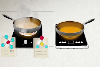 create collage video explainer video vox style motion graphics collage animation