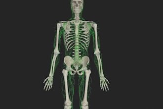 3d medical animation skeletal anatomy workout orthopedic surgery video 3d model