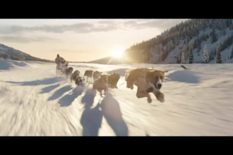 do realistic 3d animal animation, 3d character design 3d animal animation, cgi