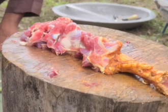 make village style cooking video for you