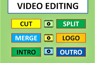professionally edit, cut, split, convert and merge video