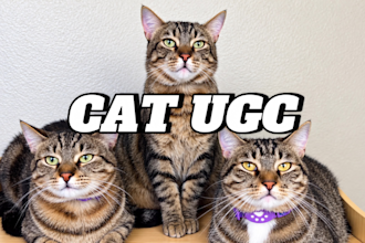create pet ugc videos ads for cat product or app