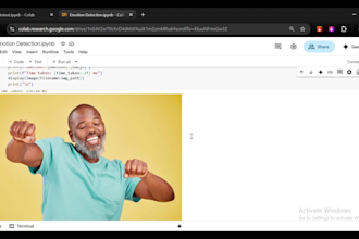 do text classification, object detection, sentiment analysis tasks in python