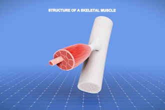 create 3d medical animation, surgical animation medical device, healthcare