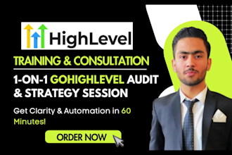 provide you gohighlevel training and go high level consultation 1 hour