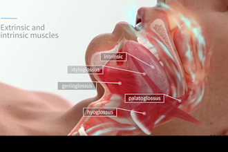 create 3d medical animation videos for surgical procedures and medical product