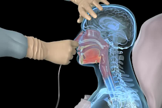 do realistic 3d human anatomy, biotech, and dental animation videos