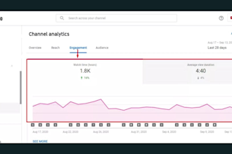 create, optimize and organically promote  your youtube channel