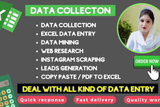 do data collection, excel data entry, b2b lead generation, web scraping research