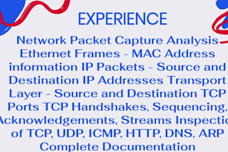 analyze network traffic using wireshark