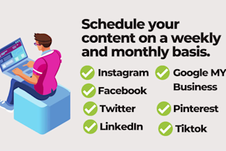professionally schedule posts on social media accounts