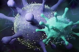 create full HD 3d medical animations for surgery, anatomy and biology in blender