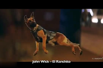 do realistic 3d animal animation, cgi animal model, 3d rig, vfx, dog for film