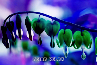 create youtube relaxing meditation yoga sleep music videos