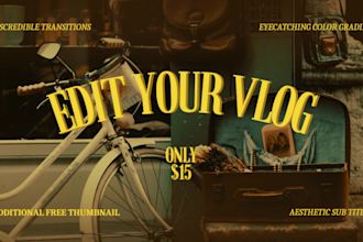 professionally edit your travel, gym and daily vlogs