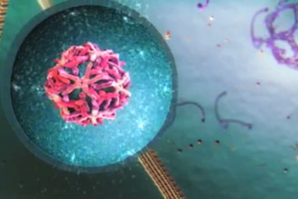 do biomedical animation, 3d dental surgery explainer video scientific animation