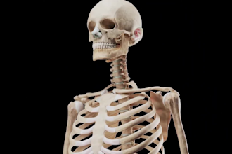 create explainer human body skeletal 3d anatomy animation orthopedic surgical