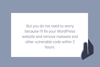 remove viruses and fix redirecting issues in 12 hours