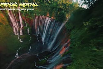 professionally color grade and enhance your photos or videos to make them stand