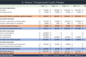 prepare financial forecasts and financial statements